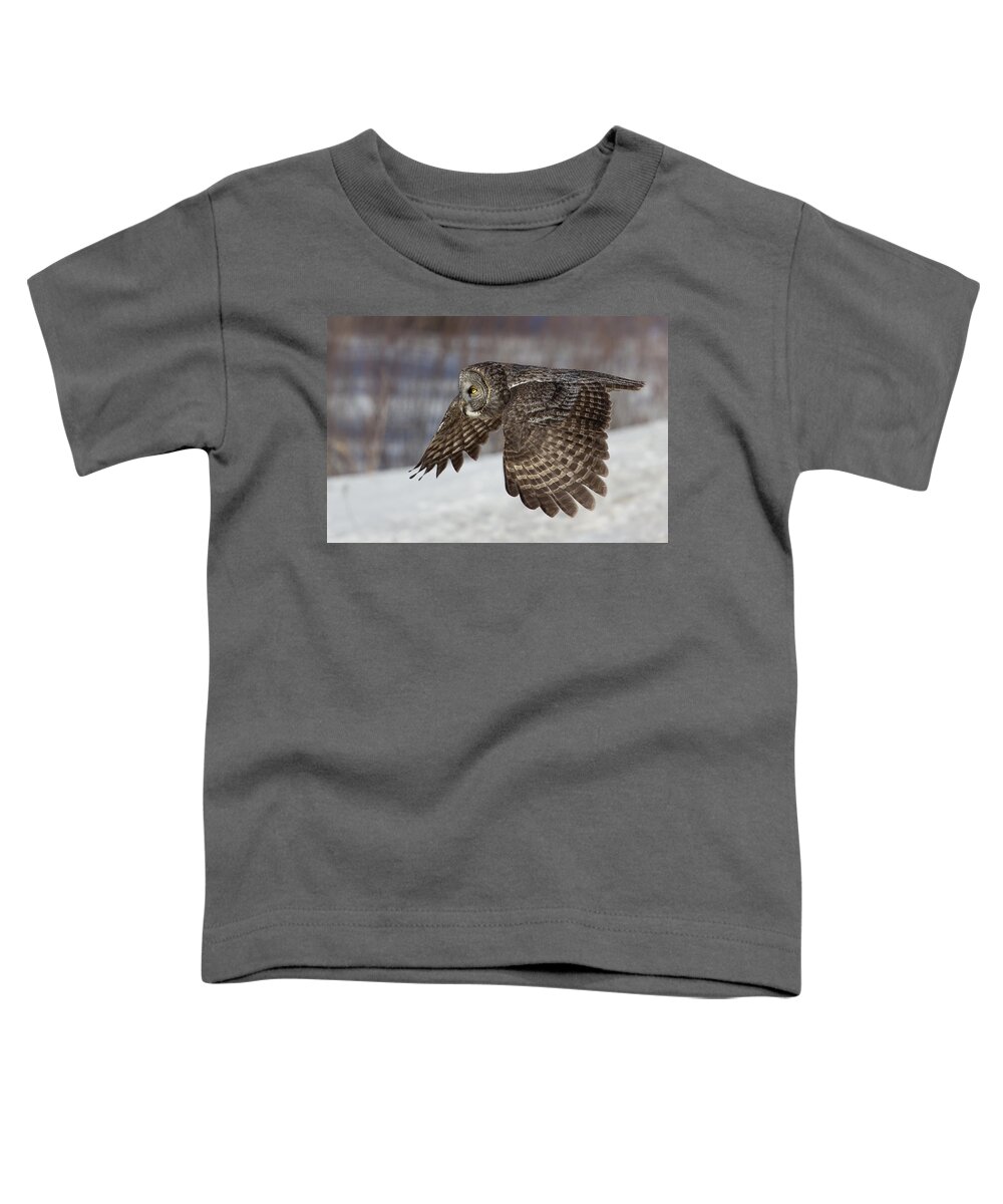 Animal Toddler T-Shirt featuring the photograph Great Grey Owl in Flight by Jakub Sisak