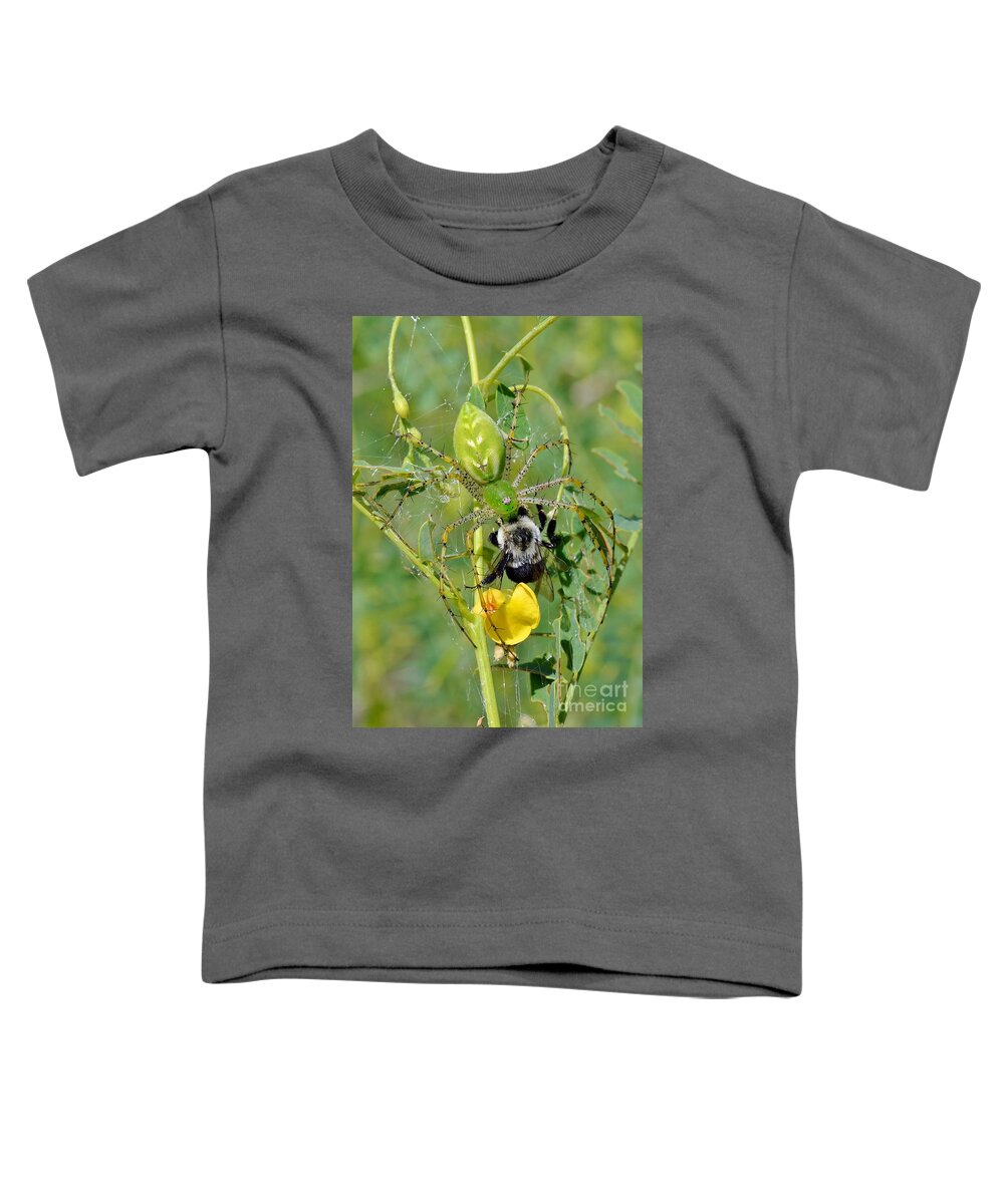 Spider Toddler T-Shirt featuring the photograph Green Lynx Spider With Prey by Kathy Baccari