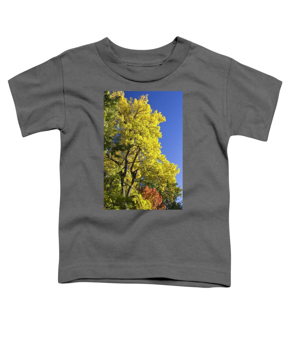 Autumn Toddler T-Shirt featuring the photograph Green Orange Yellow and Blue by James BO Insogna