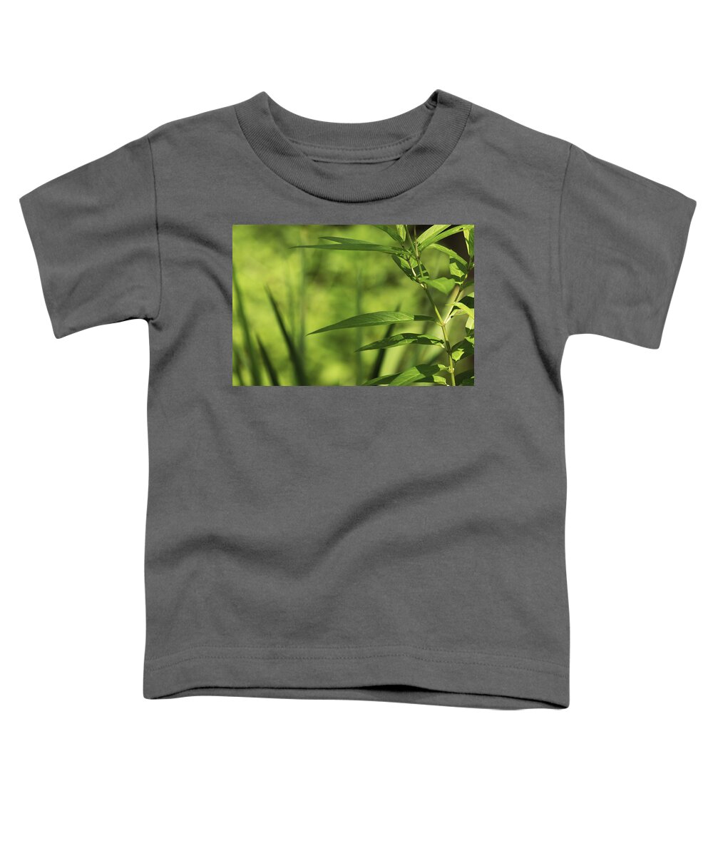 Green Toddler T-Shirt featuring the photograph Green by Tracy Winter