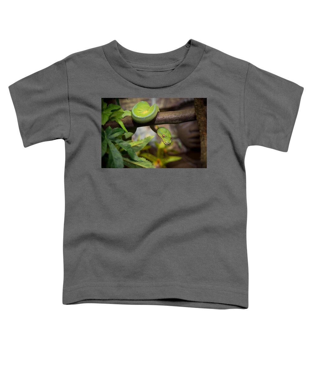 Canvas Toddler T-Shirt featuring the photograph Green Tree Python by Mark Llewellyn