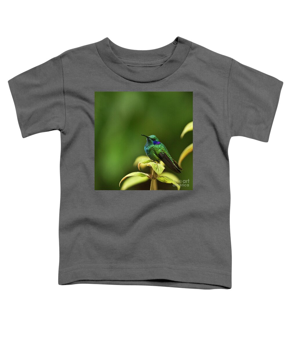Bird Toddler T-Shirt featuring the photograph Green Violetear Hummingbird by Heiko Koehrer-Wagner