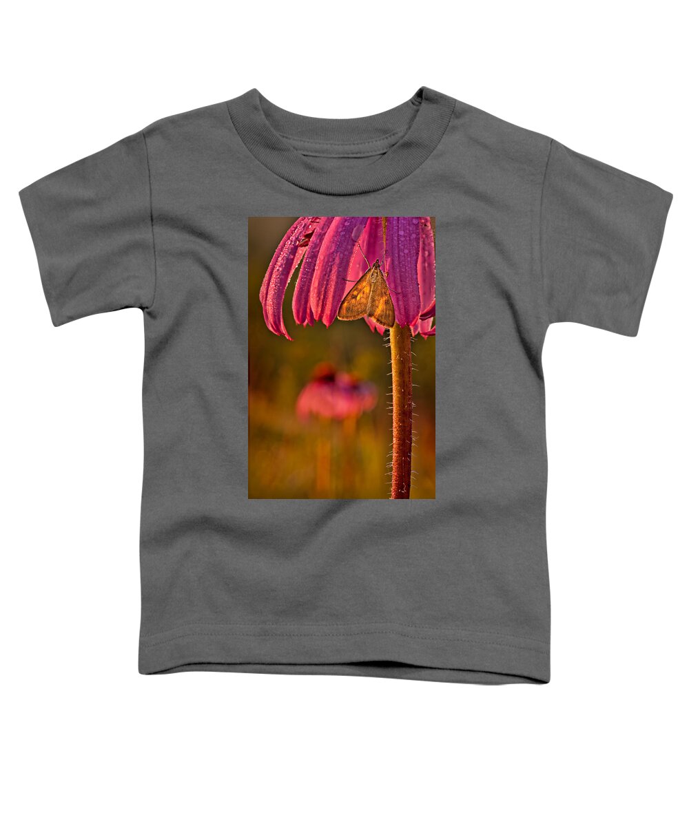 2012 Toddler T-Shirt featuring the photograph Hanging out to Dry by Robert Charity