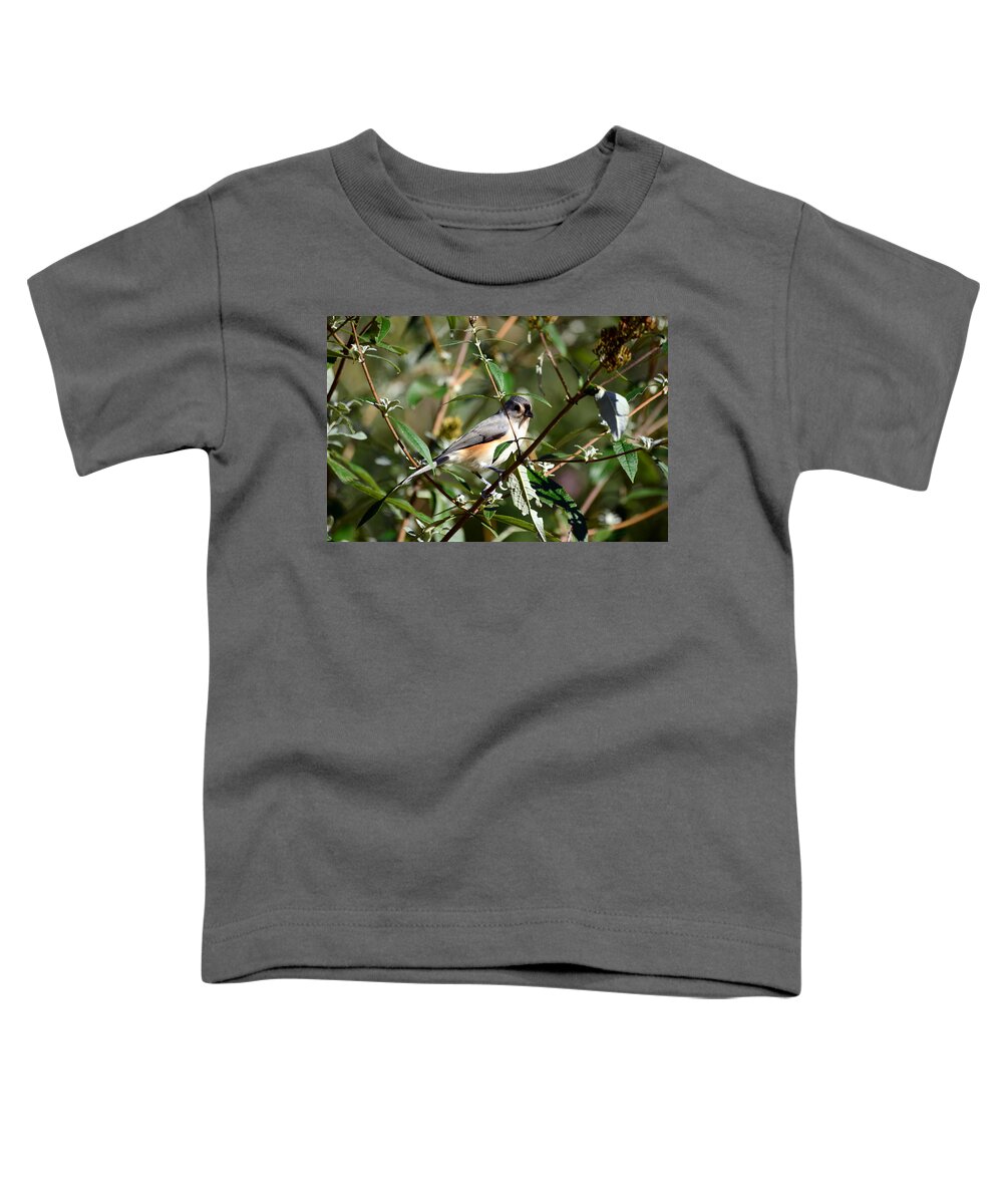 Bird Toddler T-Shirt featuring the photograph Happy As A Titmouse by Lori Tambakis