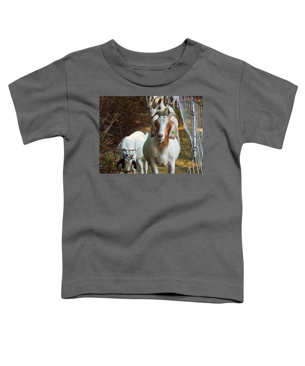 Goat Toddler T-Shirt featuring the photograph Happy Goat by Cathy Anderson