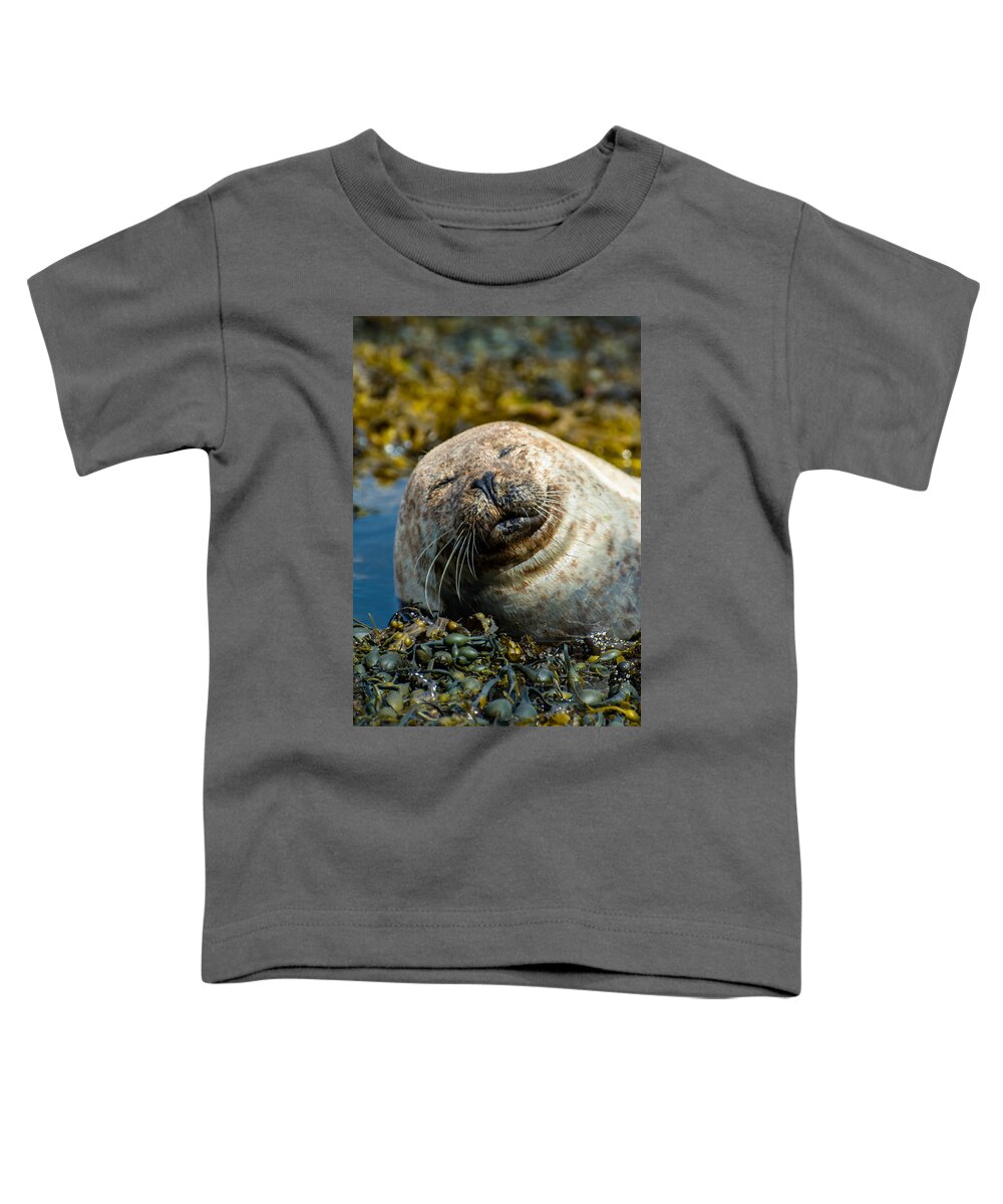 Seal Toddler T-Shirt featuring the photograph Happy Seal Relaxing In The Seaweed by Andreas Berthold