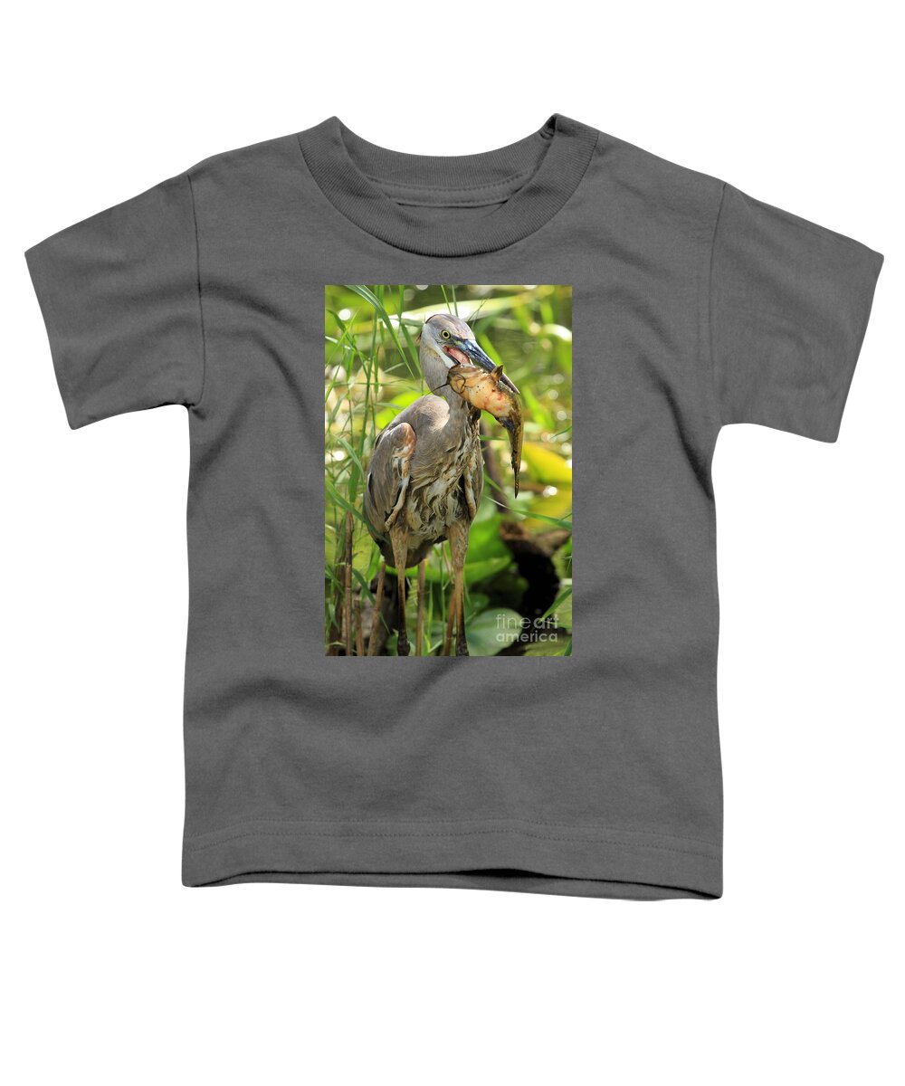 Great Blue Heron With A Fish Toddler T-Shirt featuring the photograph Head First by Adam Jewell