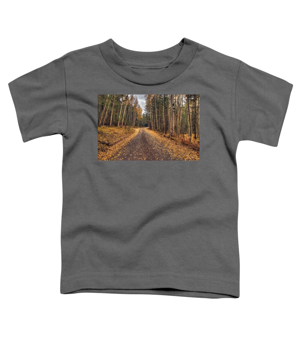 Fall Color; Fall; Aspens; Trees; Aspen Trees; Flagstaff; Arizona; Southwest; Landscapes; Leaves; Fallen Leaves; Hdr Toddler T-Shirt featuring the photograph Hart Prairie Aspens by Tam Ryan