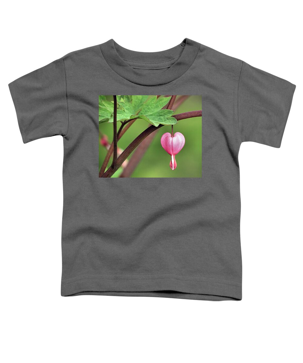 Heartdrop Toddler T-Shirt featuring the photograph Heartdrop by Janice Drew