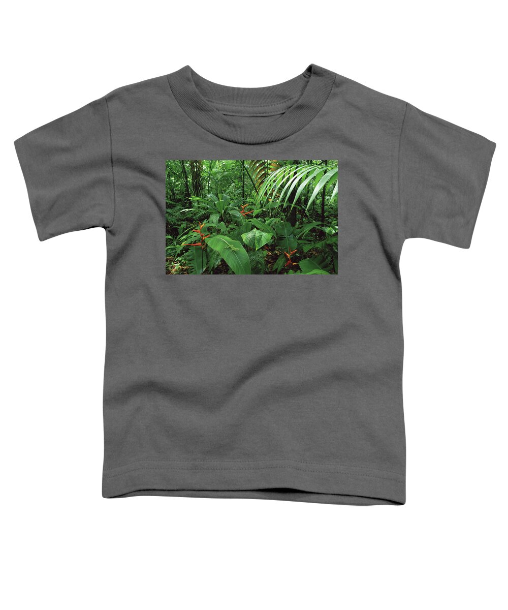 Color Image Toddler T-Shirt featuring the photograph Heliconia and Palms with Green Anole by Michael and Patricia Fogden