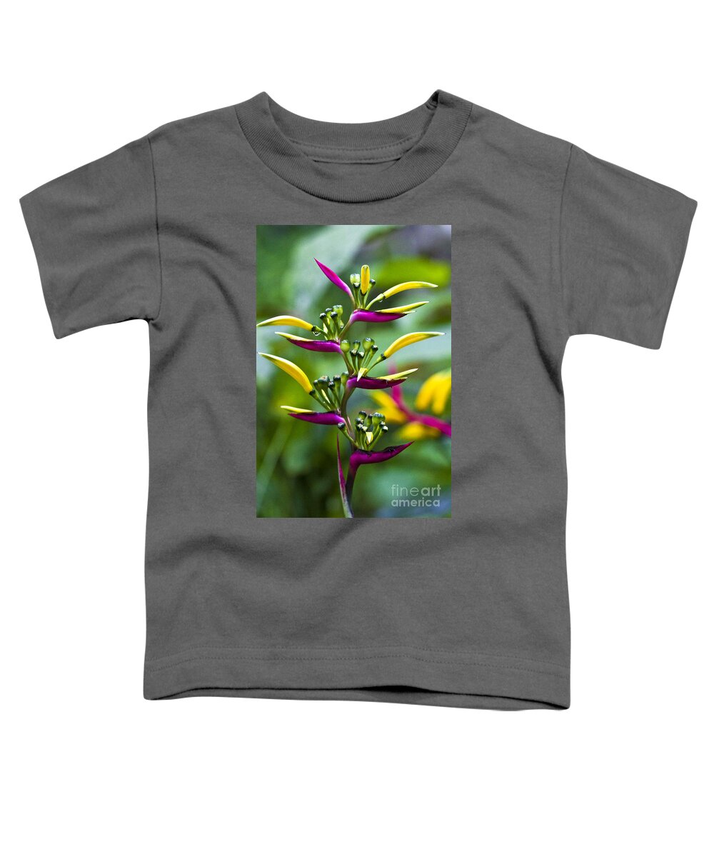 Heliconia Toddler T-Shirt featuring the photograph Heliconia subulata II by Heiko Koehrer-Wagner