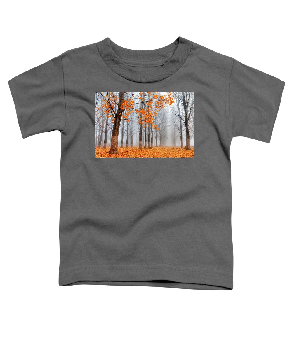 Bulgaria Toddler T-Shirt featuring the photograph Heralds Of Autumn by Evgeni Dinev
