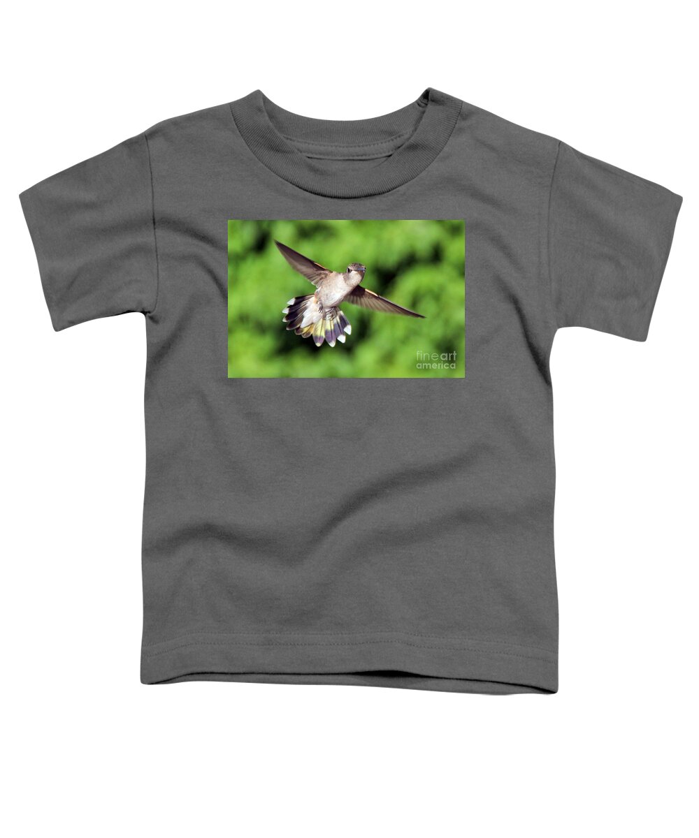 Colorado Toddler T-Shirt featuring the photograph Here's looking at you by Bob Hislop