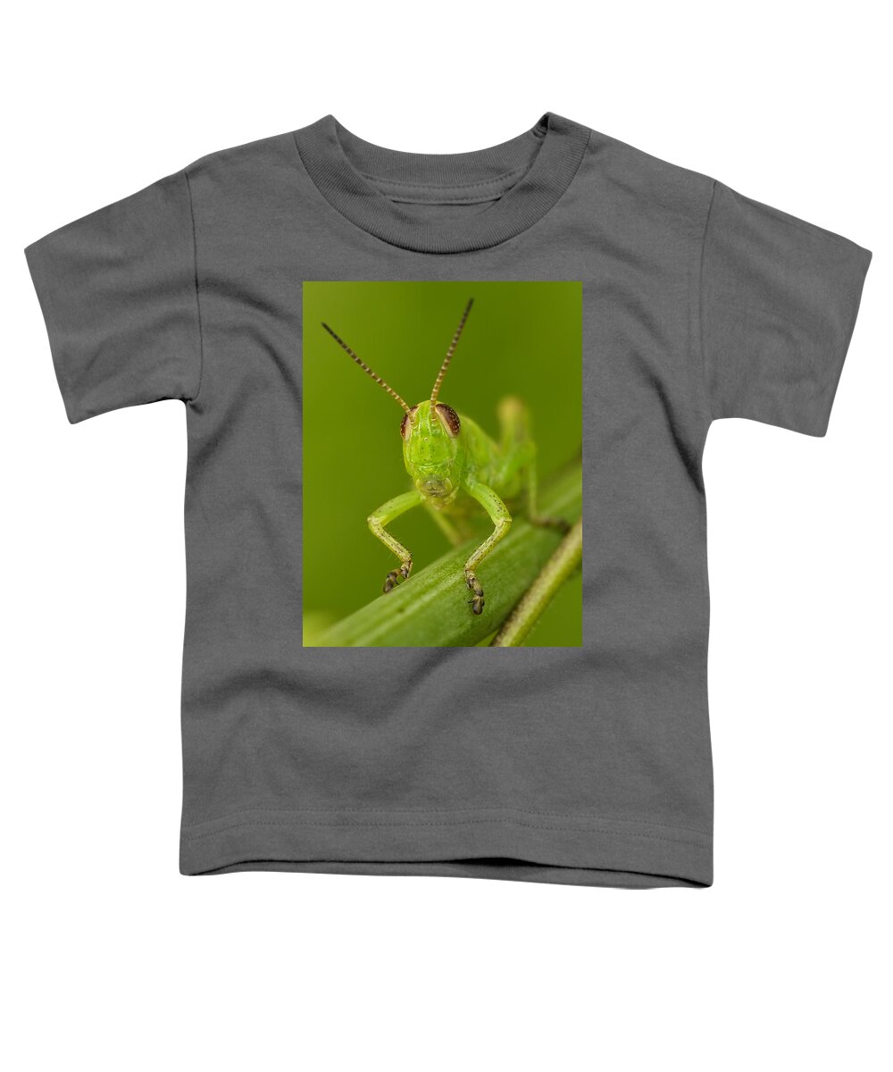Macro Toddler T-Shirt featuring the photograph Here's Looking At You by Liz Mackney