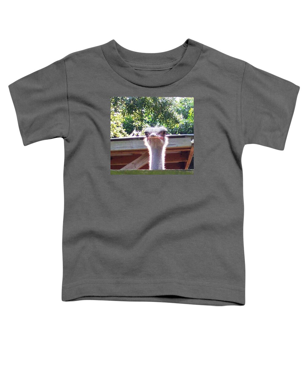 #male #ostrich #bigbird #blueberry #farm #florida Toddler T-Shirt featuring the photograph Big Ostrich Eyes Look Down There by Belinda Lee