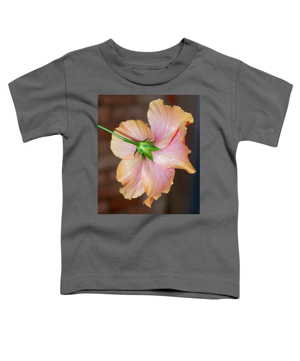 Hibiscus Toddler T-Shirt featuring the photograph Hibiscus From Behind by Connie Fox