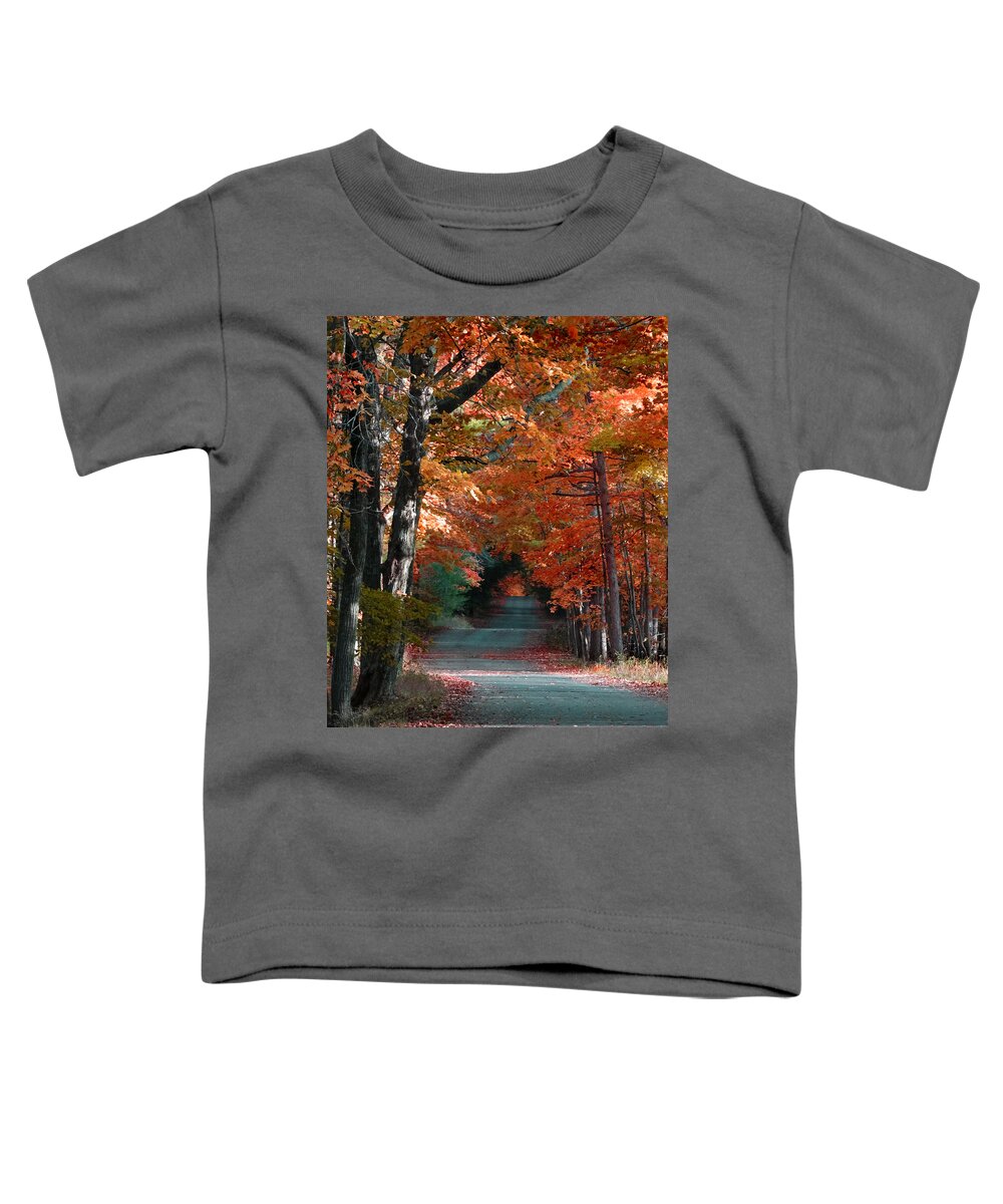 Fall Colors Toddler T-Shirt featuring the photograph Highland Road Color by David T Wilkinson
