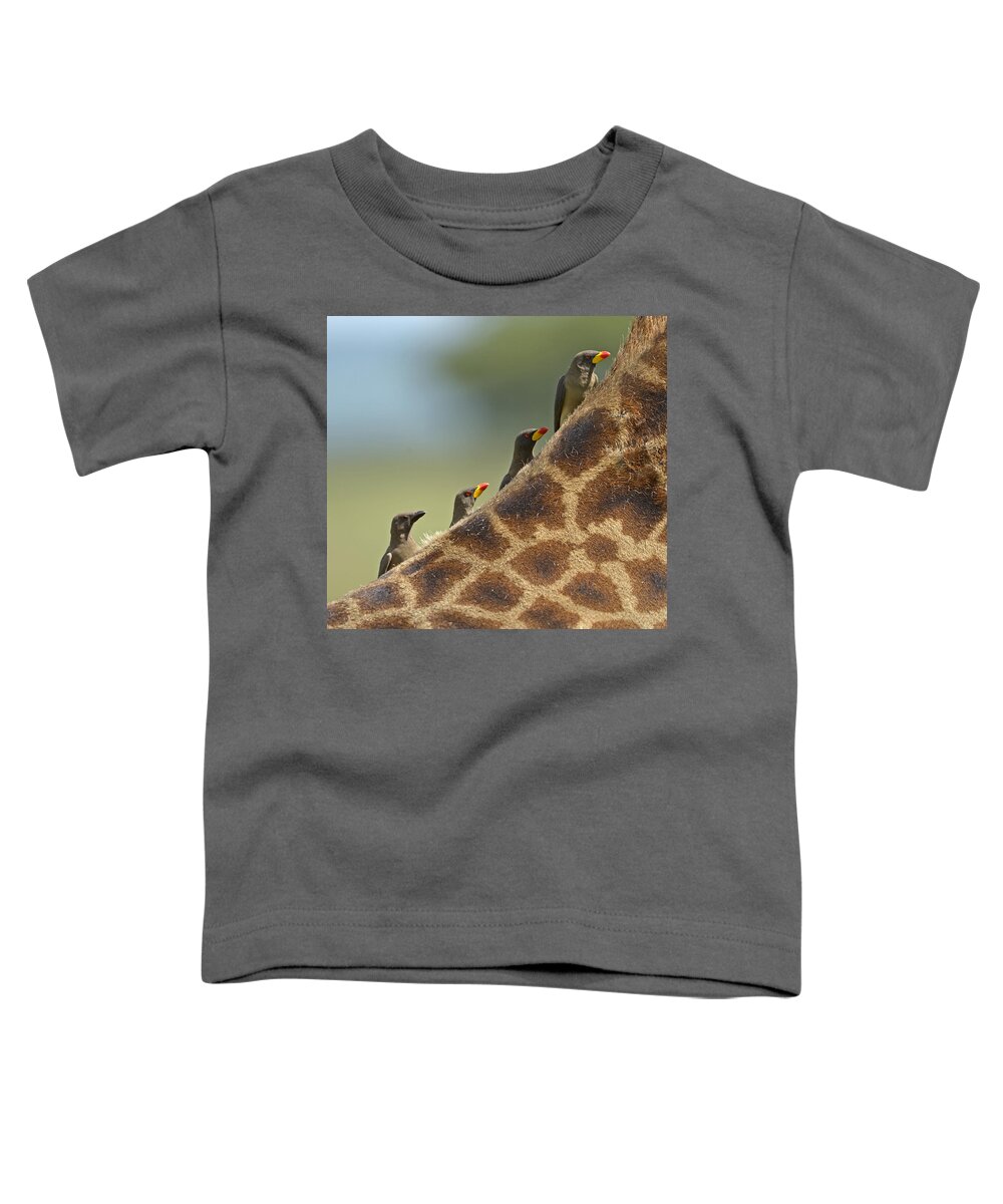 Nature Toddler T-Shirt featuring the photograph Hitching a Ride by Claudio Bacinello