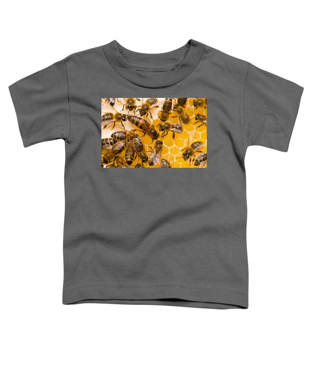 Honey Bees Toddler T-Shirt featuring the photograph Honeybee Workers And Queen by Mark Bowler