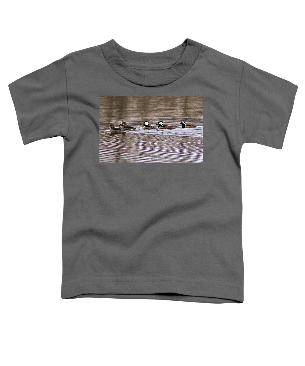 Hooded Toddler T-Shirt featuring the photograph Hooded Mergansers IV by Joe Faherty