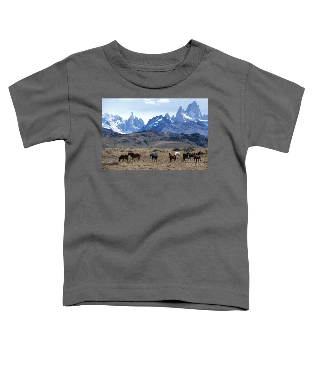 Horse Toddler T-Shirt featuring the photograph Horses In Argentina by Mark Newman