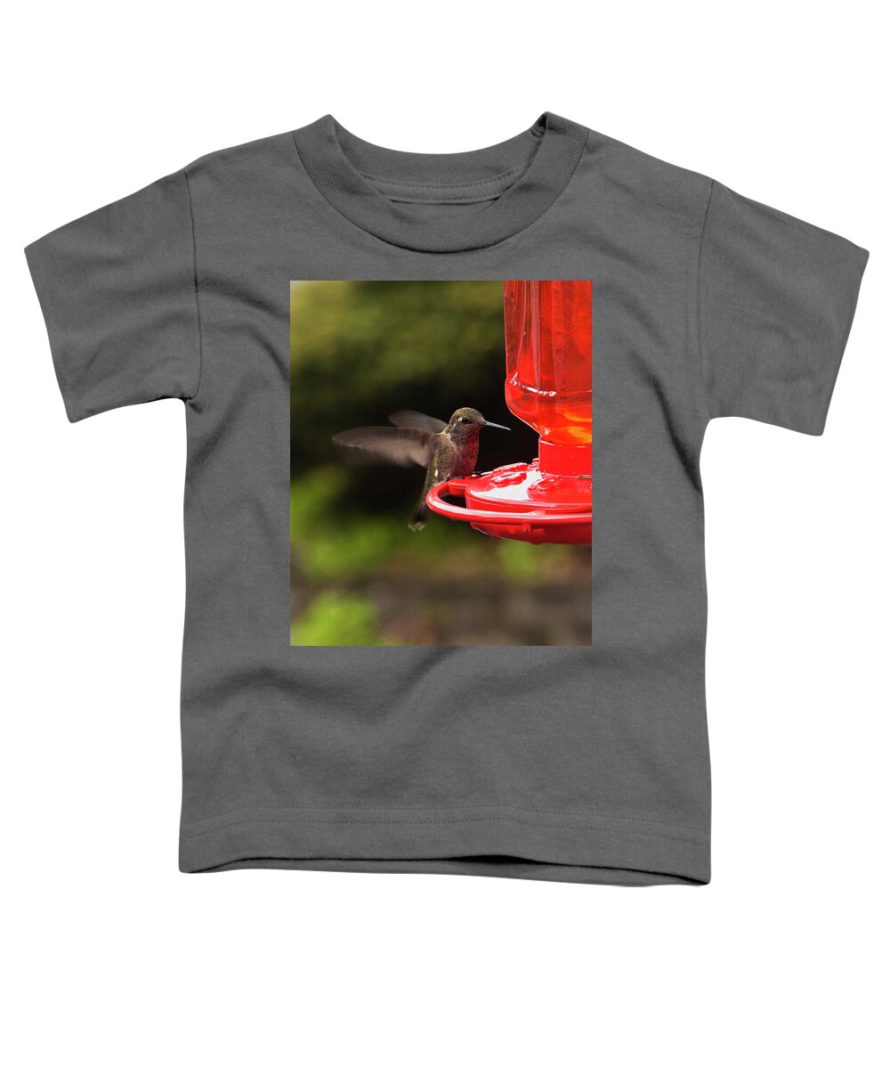 Bird Toddler T-Shirt featuring the photograph Humming Bird Landing by Ron Roberts