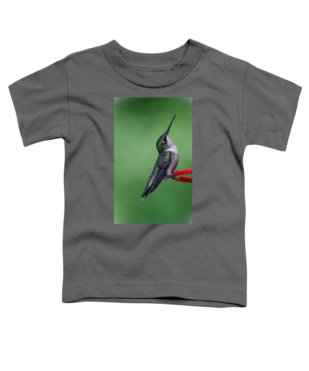 Hummingbird Toddler T-Shirt featuring the photograph Hummingbird Profile by Amy Porter