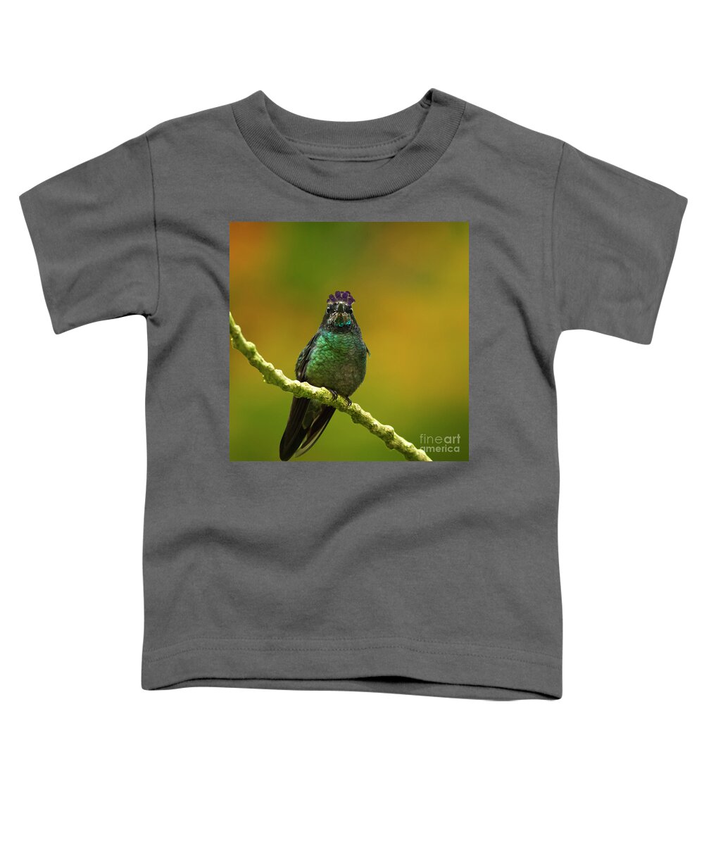 Magnificent Hummingbird Toddler T-Shirt featuring the photograph Hummingbird with a lilac Crown by Heiko Koehrer-Wagner