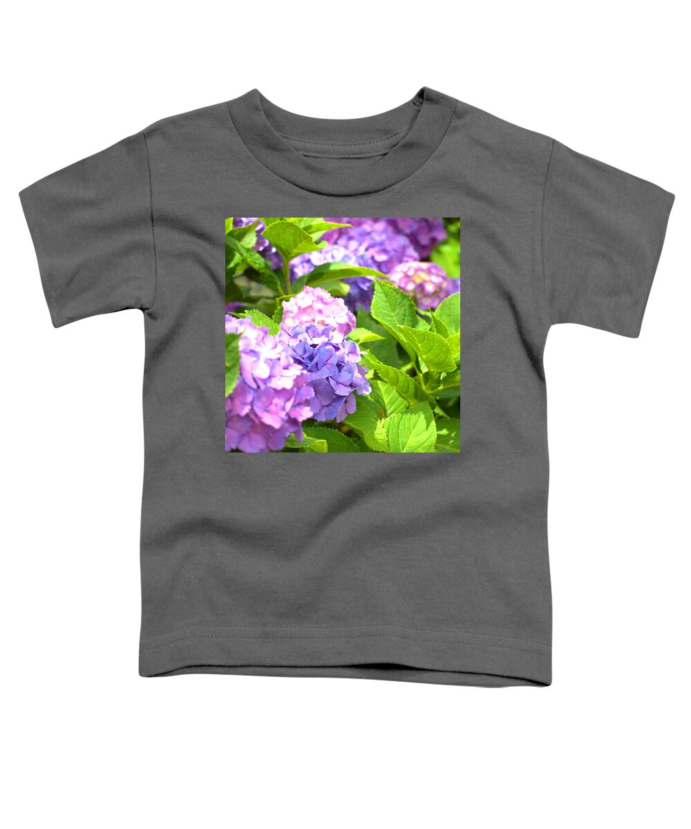 Hydrangea Toddler T-Shirt featuring the photograph Hydrangeas in the sun by Yuka Kato