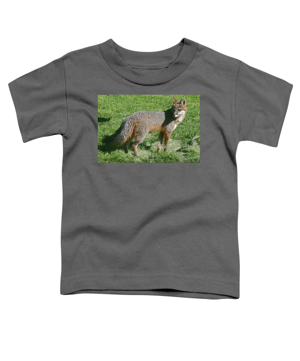 Fox Toddler T-Shirt featuring the photograph I Am Watching My Back by Kristin Hatt