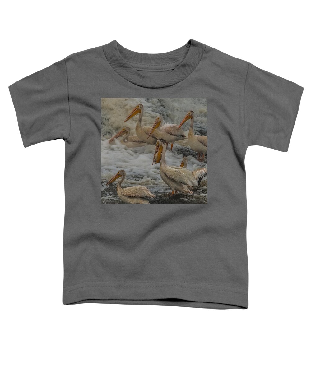 Pelican Toddler T-Shirt featuring the photograph I caught one by Paul Freidlund