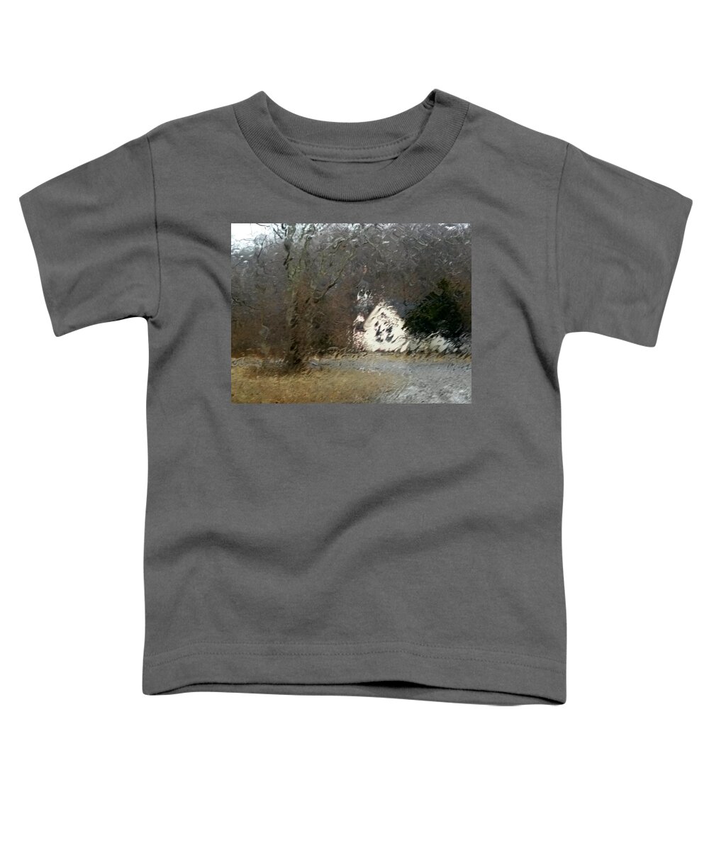 Landscape Toddler T-Shirt featuring the photograph Ice Storm by Steven Huszar