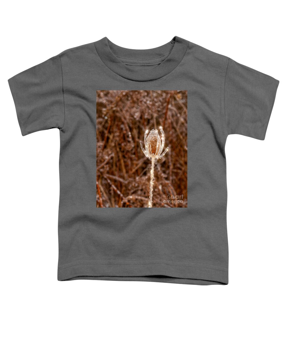 Thistle Toddler T-Shirt featuring the photograph Icy Thistle by Les Palenik