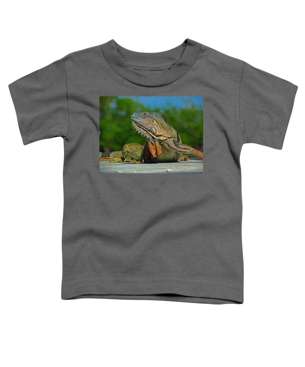 Animal Toddler T-Shirt featuring the photograph Iguana by Juergen Roth