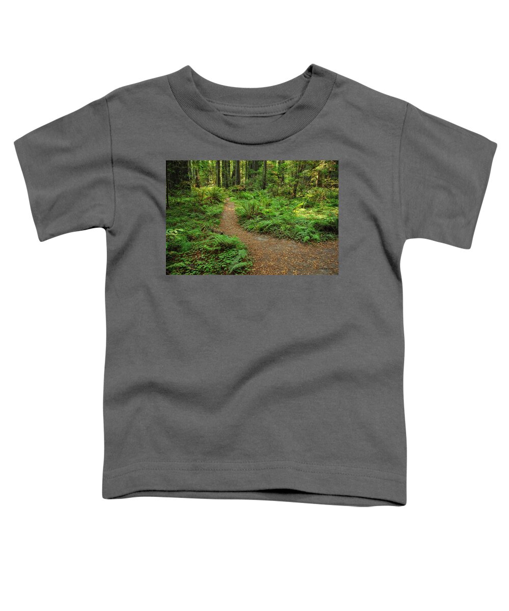 Fern Toddler T-Shirt featuring the photograph In Ferns And Clover by Donna Blackhall