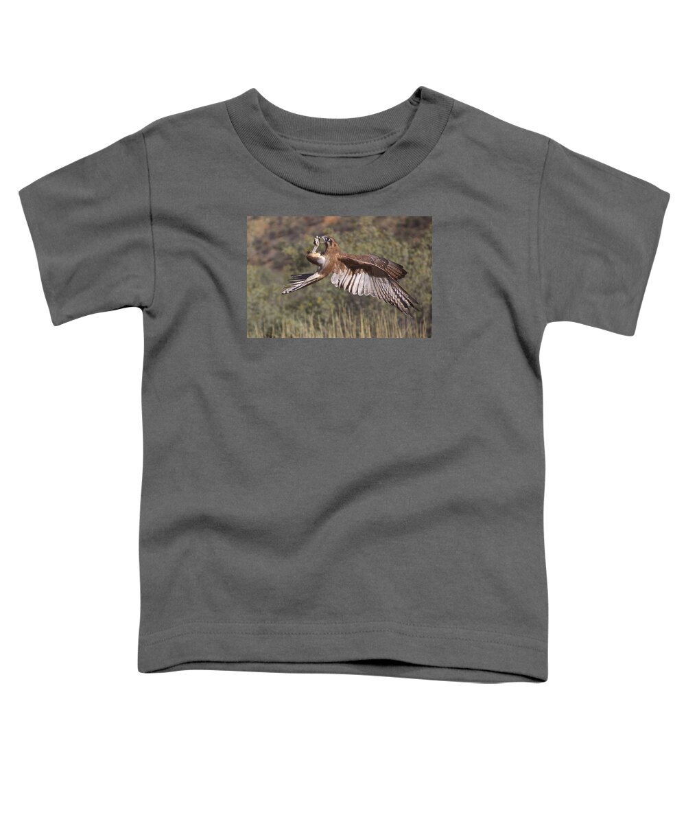 Bird Toddler T-Shirt featuring the photograph In Flight Meals, Alice Springs, Australia by Venetia Featherstone-Witty