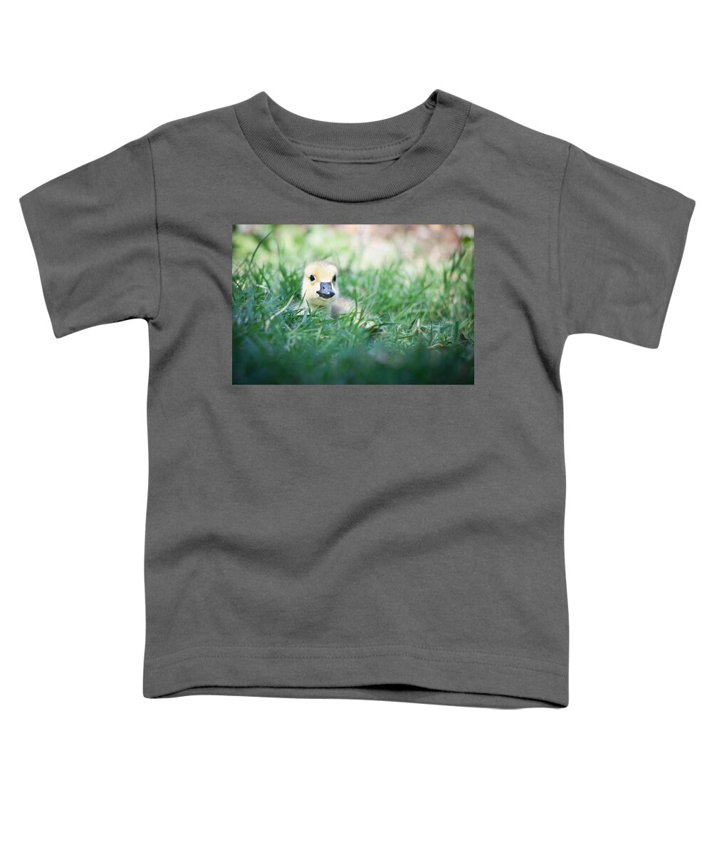 Bird Toddler T-Shirt featuring the photograph In The Grass by Priya Ghose