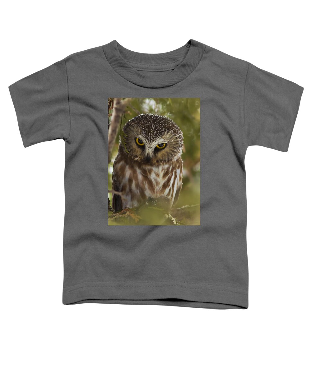 Northern Saw-whet Owl Toddler T-Shirt featuring the photograph In Your Eyes by Mircea Costina Photography