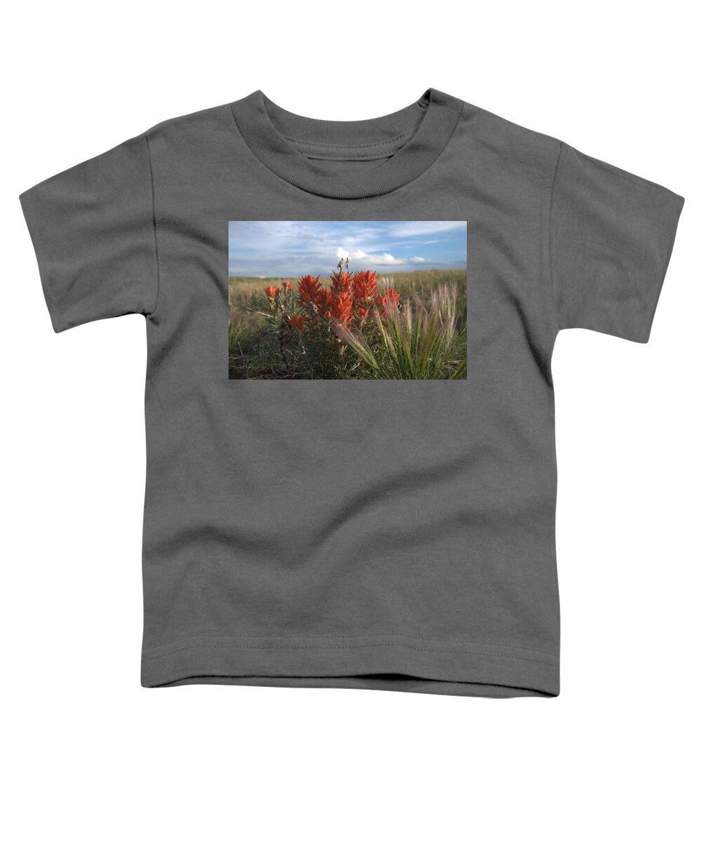 Flower Toddler T-Shirt featuring the photograph Indian Paintbrush by Frank Madia