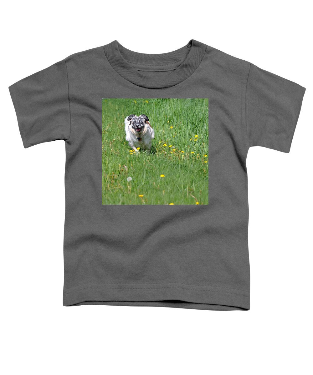 Animals Toddler T-Shirt featuring the photograph It's Spring - It's Spring by Phyllis Meinke