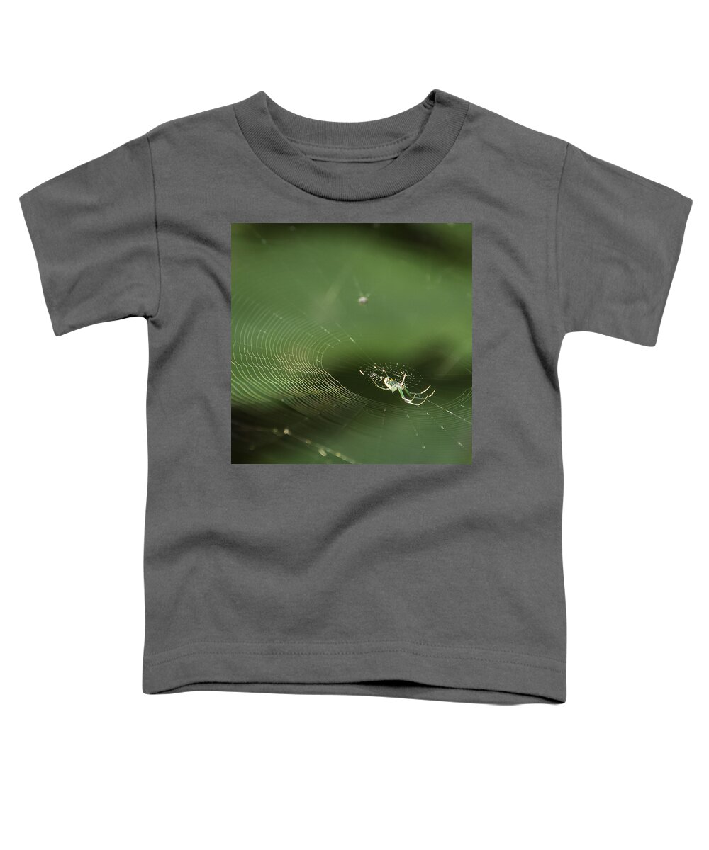 Central Park Toddler T-Shirt featuring the photograph I've Been Wainting for So Long by Theodore Jones
