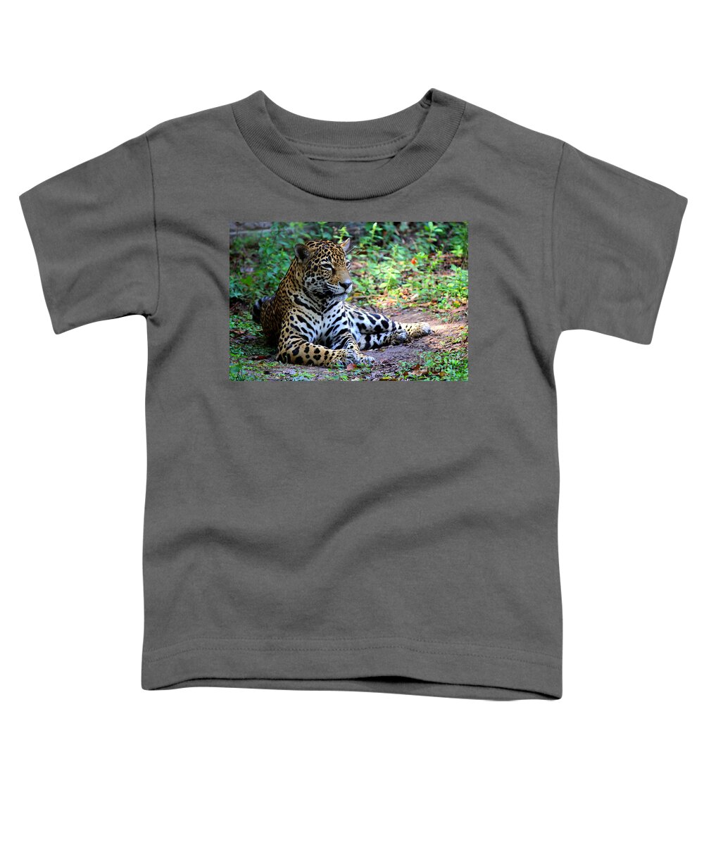 Big Cats Toddler T-Shirt featuring the photograph Jaguar Resting from Play by Kathy White