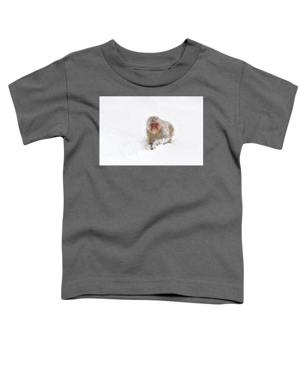 Thomas Marent Toddler T-Shirt featuring the photograph Japanese Macaque In Snow Jigokudani by Thomas Marent