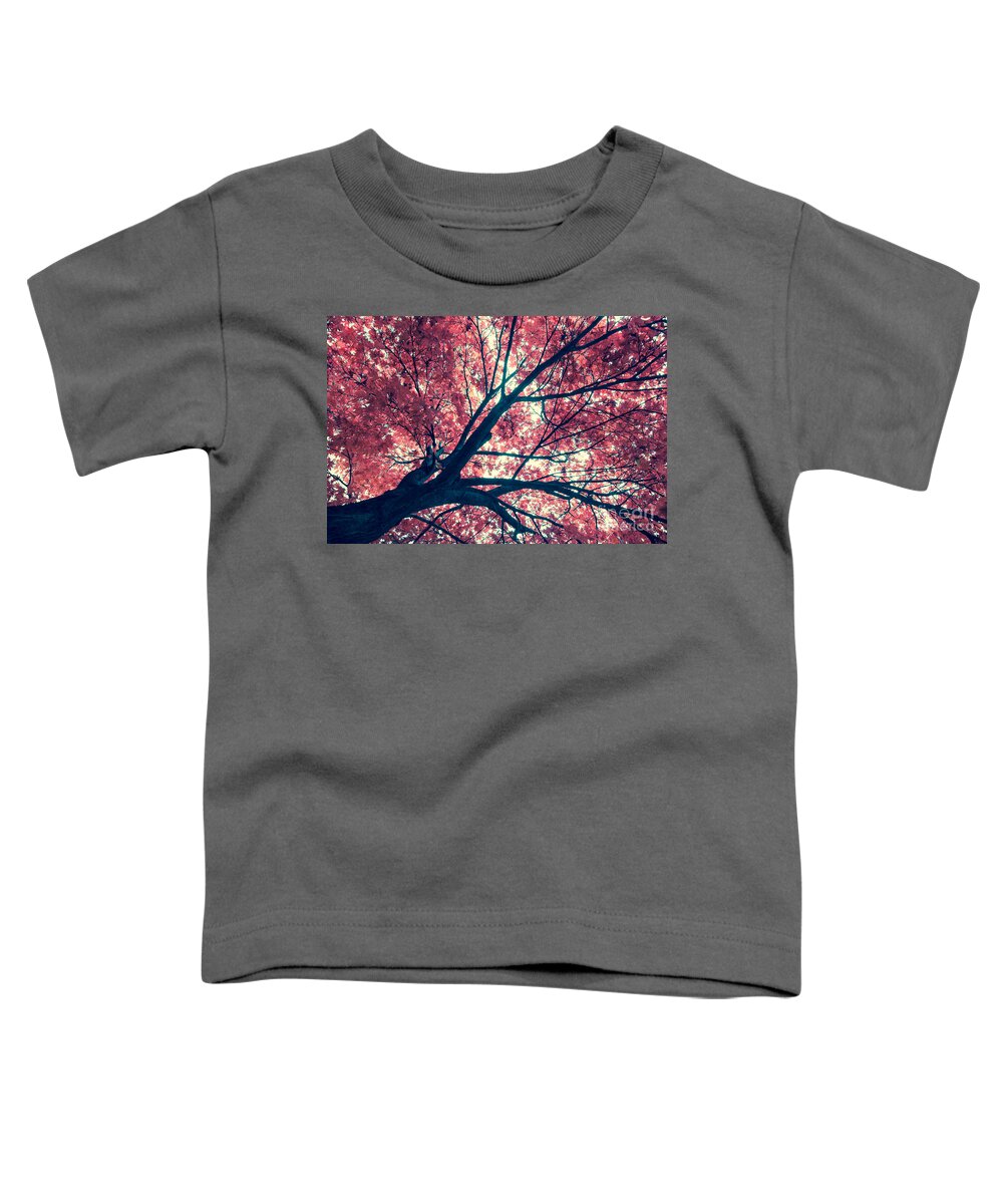 Autumn Toddler T-Shirt featuring the photograph Japanese Maple - Vintage by Hannes Cmarits