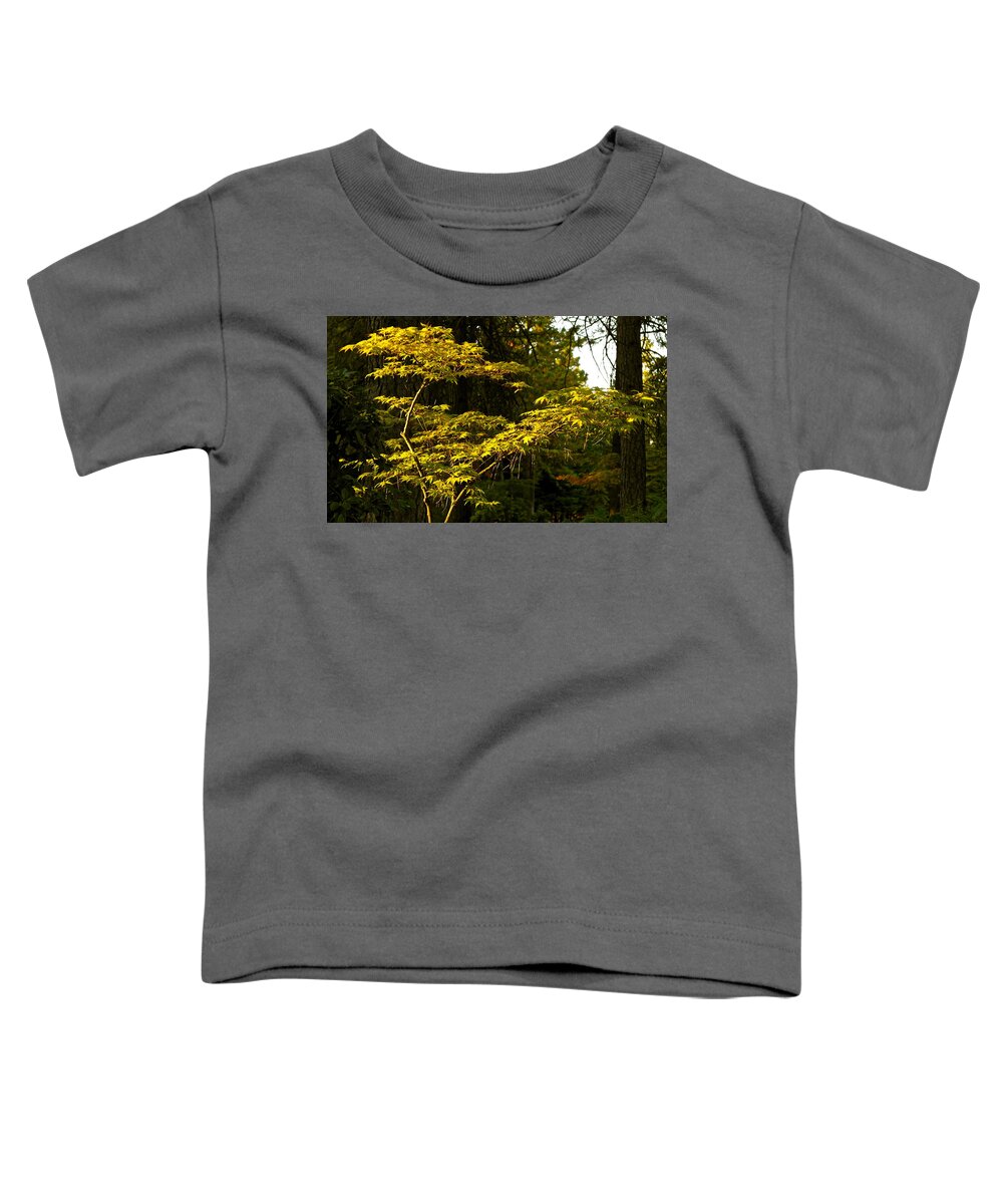 Fall Scene Toddler T-Shirt featuring the photograph Japanese Maple in Evening Light by Michele Myers