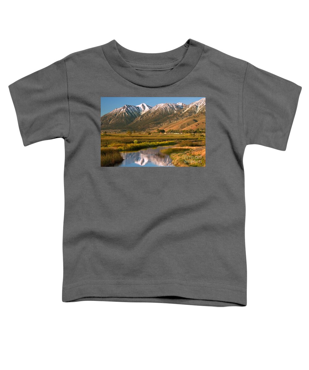 Landscape Toddler T-Shirt featuring the photograph Job's Peak Reflections by James Eddy