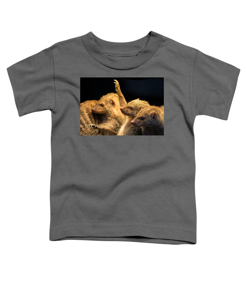 Mongoose Toddler T-Shirt featuring the photograph Juvenile Mongooses by Andreas Berthold