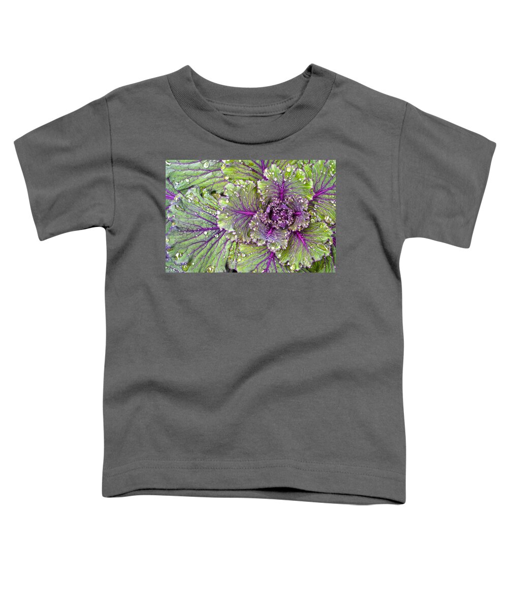 Kale Toddler T-Shirt featuring the photograph Kale Plant In The Rain by Sandi OReilly