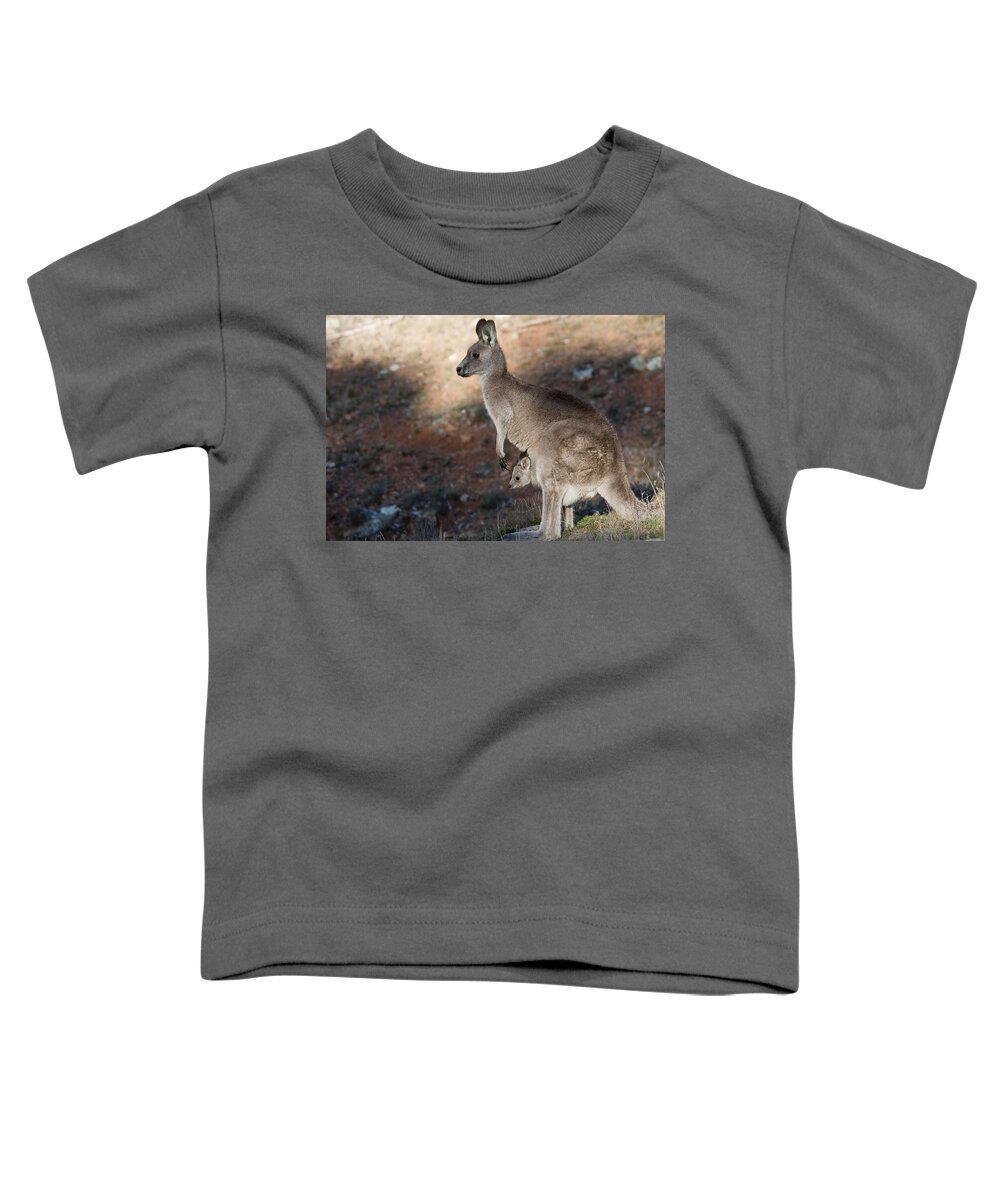 Australia Toddler T-Shirt featuring the photograph Kangaroo and joey by Steven Ralser