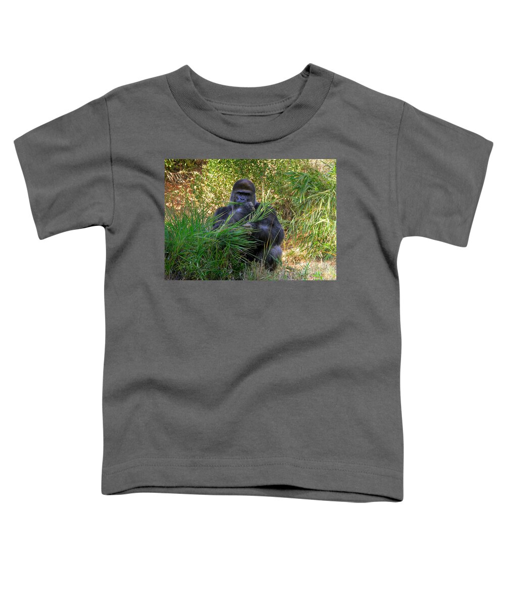 Gorilla Toddler T-Shirt featuring the photograph King Of The Mountain by Kathy Baccari